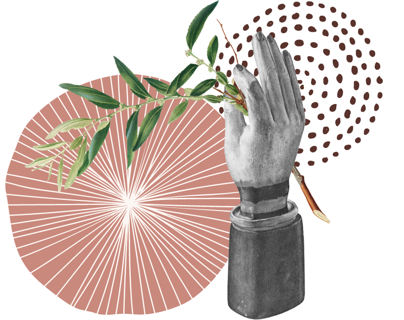 ejercicio Ikebana